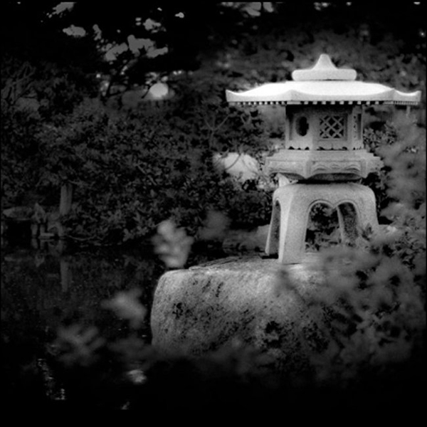 MattVoughtPhotography